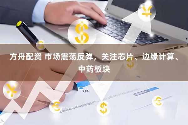 方舟配资 市场震荡反弹，关注芯片、边缘计算、中药板块