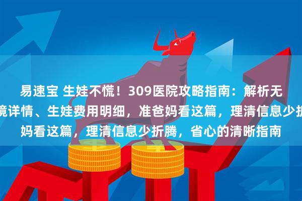 易速宝 生娃不慌！309医院攻略指南：解析无痛导乐申请、病房环境详情、生娃费用明细，准爸妈看这篇，理清信息少折腾，省心的清晰指南